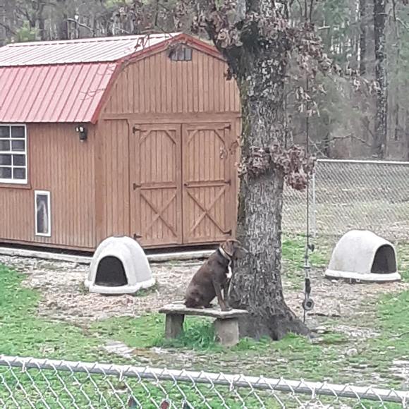 Meet your Posher, Lee - Picture 1 of 1